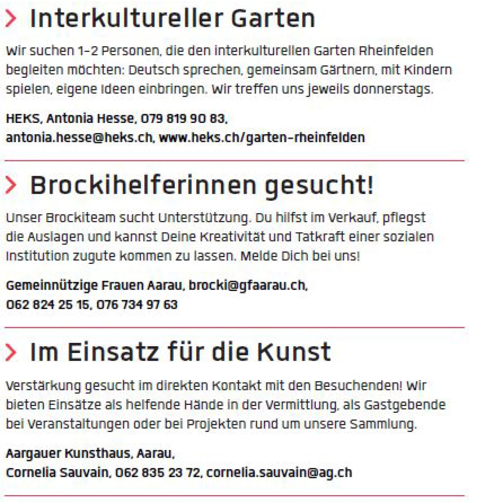 Ein Screenshot mit Beispieltexten für Kurzinserate für die Freiwilligensuche