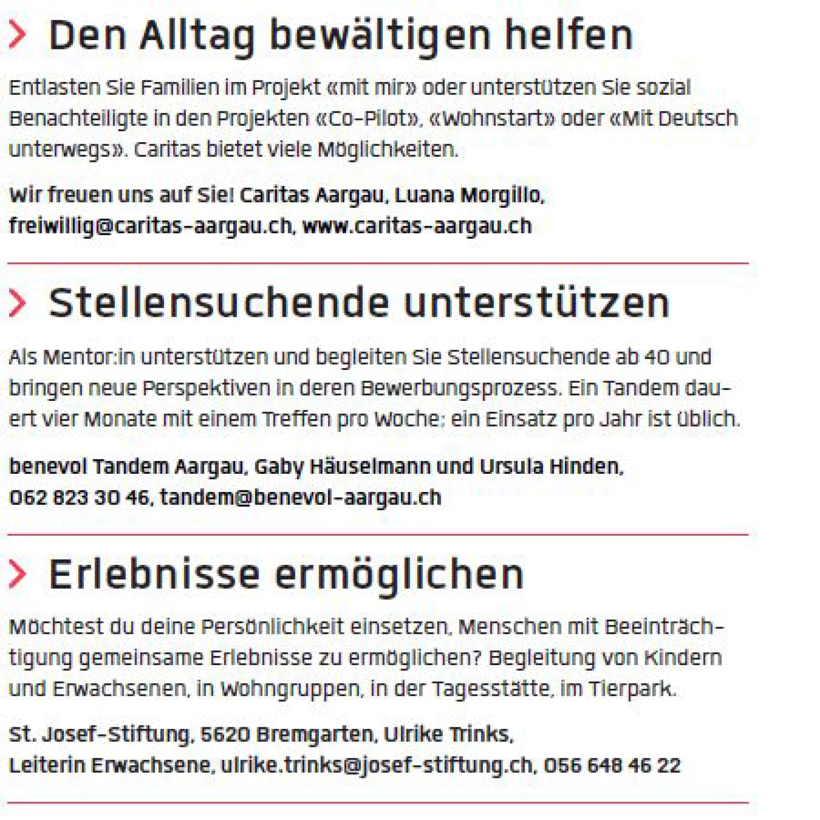 Ein Screenshot mit Beispieltexten für Kurzinserate für die Freiwilligensuche