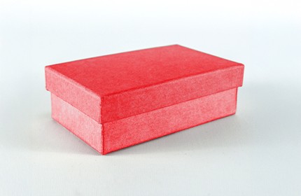Zu sehen ist eine rote Kartonschachtel mit geschlossenem Deckel auf weiss-grauem Hintergrund.